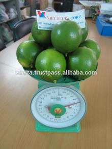 Fresh Green Lemon - citrus fruit