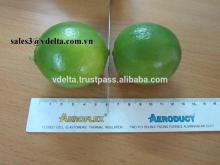 Fresh Lime (Seedless)_Competitive price