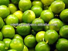 Fresh Green Lemon & Lime