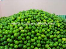 Fresh Lime/Lemon - citrus fruit