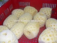 Frozen Pineapple (Premium grade, reasonable price)