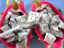 IQF Dragon Fruit Dices (frozen Fruit)