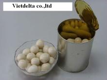 canned quail eggs/eggs/quail eggs