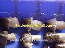 Canned iqf STRAW mushroom 100%VietNam