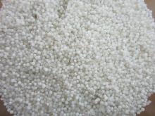Sago seed