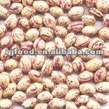 canned light speckled kidney beans