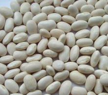 400g canned white kidney beans in brine