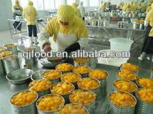 canned yellow peach in light syrup 425g