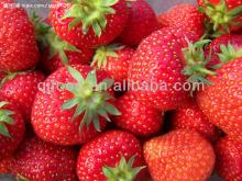new crop 820g canned strawberry in syrup manufacturer canned fruits