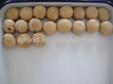 canned mushroom in tin new crop