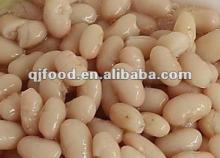400/240g Canned White Kidney Beans in Tomato Paste