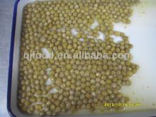 400g Canned Green Peas in Brine New Crop /Manufacturer