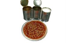 400g Canned White Kidney Beans in Tomato Sauce