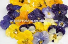 Edible Flowers and Herbs Natural Organic Made in USA