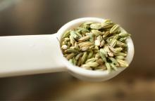 Indian Origin Fennel Seeds