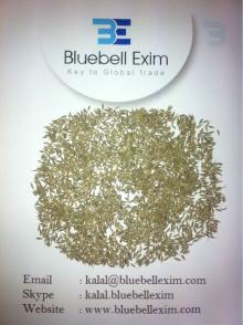 Indian Cumin Seeds