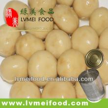 Canned Whole Mushrooms