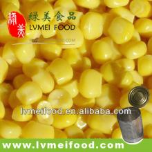 Canned Sweet Corn
