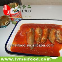 Canned Mackerel Fish in Tomato Sauce