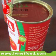 Hot sale 800g Canned tomato paste
