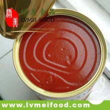 800g new crop canned tomato paste