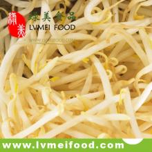 Canned Fresh Bean Sprouts 330g