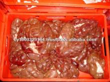 Frozen Beef Kidney