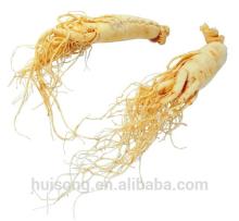 Panax  Ginseng   Extract 