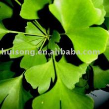 Ginkgo biloba Extract 24%/6% EP/USP/CP2010