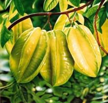 Star fruit juice concentrate powder