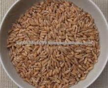 Spelt