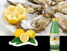 Lemon juice concentrate 100%