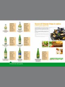 lemon juice concentrate