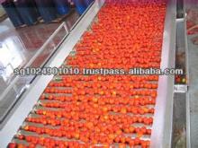 tomato paste/sauce