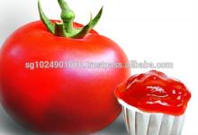 Drum Packing Tomato Paste with Brix 30-32%