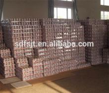 tomato paste