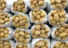 Best quality fresh potato ,new crop,size : 50g,100g,150g,200g,...