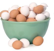fresh chicken egg white and brown size : 40g-50g-60g-65g-70g