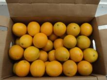 valencias