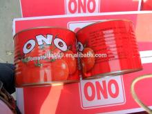 210G canned tomato paste