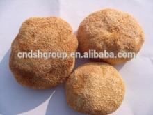 dried hericium erinaceus mushroom