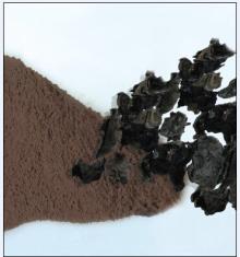  wood   ear   mushroom 