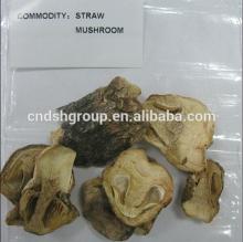 straw mushroom in tin