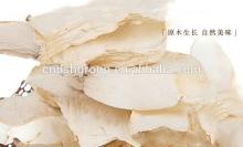 brined/fresh/dried pleurotus eryngii mushroom