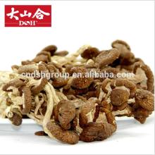 Dried Tea Tree Mushroom/Agrocybe Aegerita/ Dried Mushroom, Chashugu, Edible Fungus