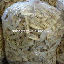 Fresg King Oyster Mushroom ( Pleurotus  eryngii / Eryngii)