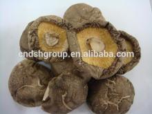 canned shiitake mushroom whole