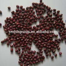 Wholesale Small Red Beans In Kidney (WBTC0025)