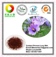 Top Quality Saffron Crocus Flower Extract
