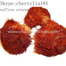 High quality saffron extract/saffron crocus price/cosmetic